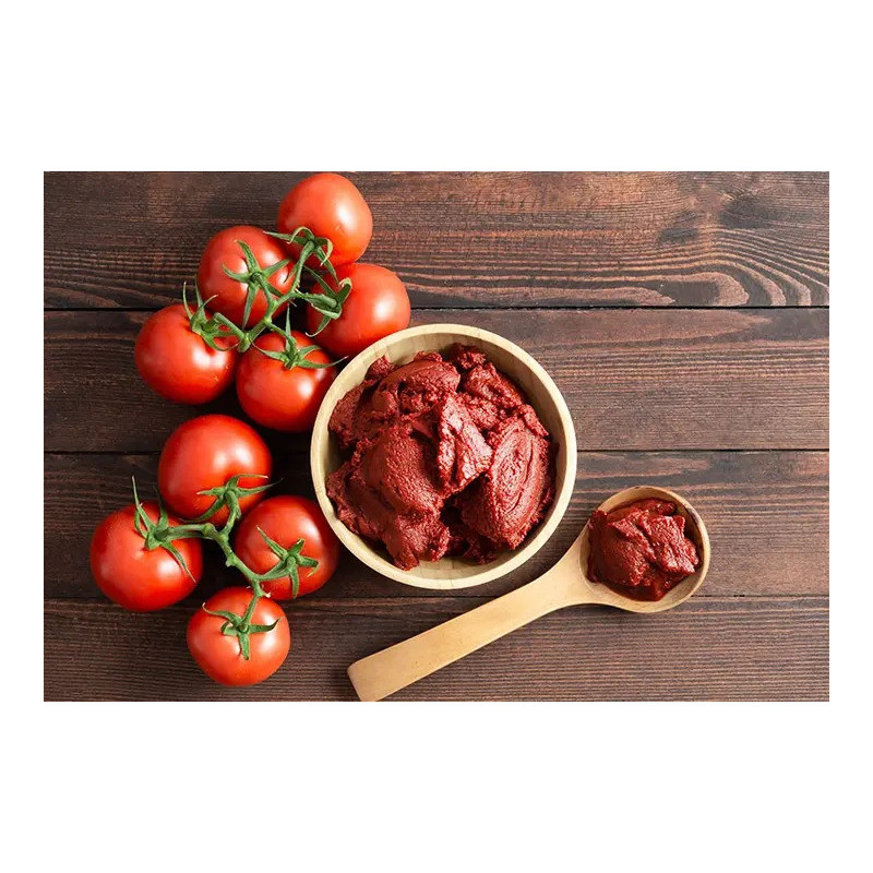Domates Salçası 1 Kg